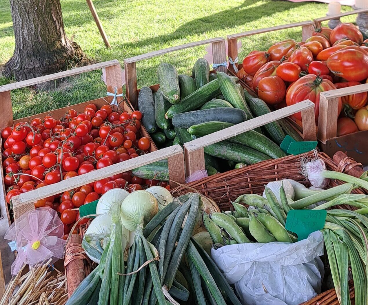 WhatsApp Image 2025-06-19 at 09.37.02