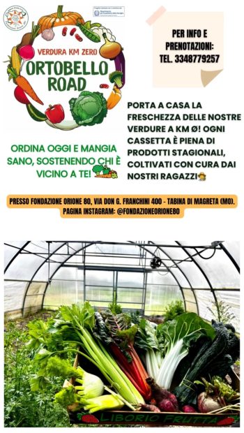 WhatsApp Image 2025-07-17 at 11.16.50